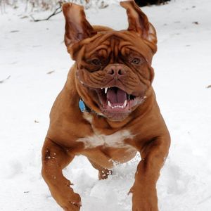 Meet your Posher, Jan